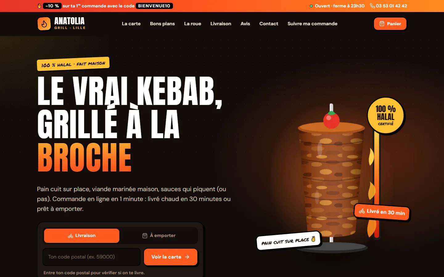 Aperçu du site Anatolia Grill, kebab & grillades à Lille